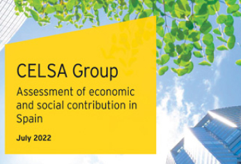 Celsa Group assessment